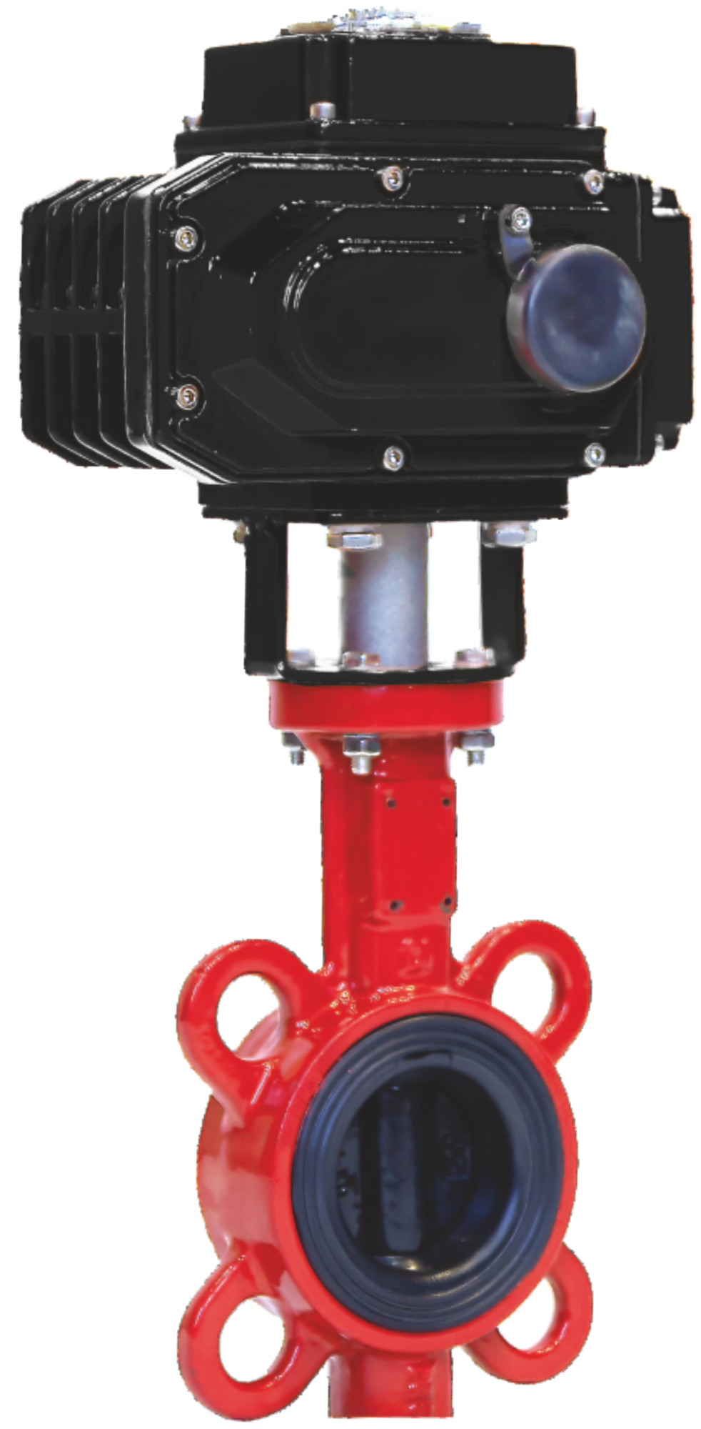 RSV81RED DN50 380 В