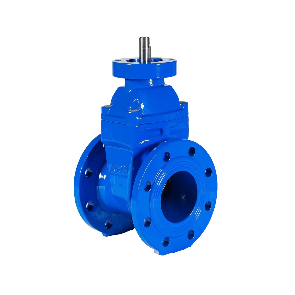 Фото Задвижка чугунная с обрезиненным клином (красная) REON тип RSV02 с голым штоком и фланцем ISO 5210 (ISO 5211) DN 65 PN10/16, артикул 065RSV02RED