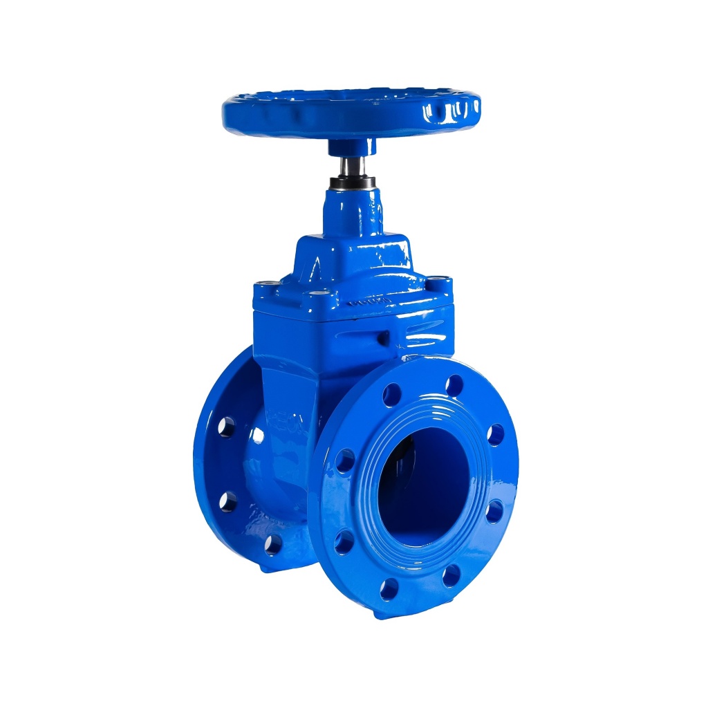 Фото Задвижка чугунная с обрезиненным клином REON тип RSV04 DN 150 PN10/16, артикул 150RSV04