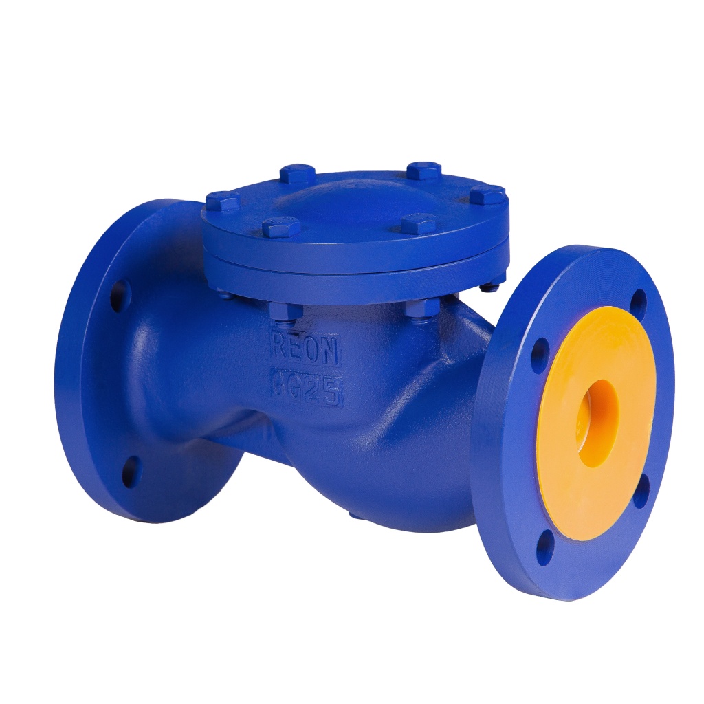 Фото Обратный клапан подъемный фланцевый чугунный REON тип RSV33 DN 150 PN16, артикул 150RSV33