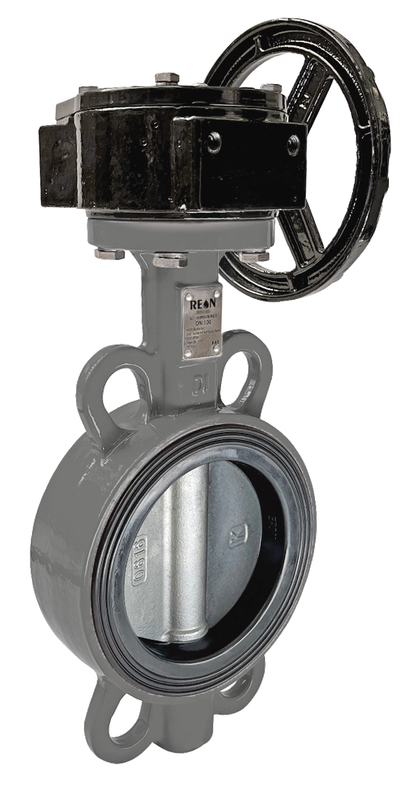 Фото Дисковый поворотный затвор с редуктором REON тип RSV78 DN 150, артикул 150RSV78