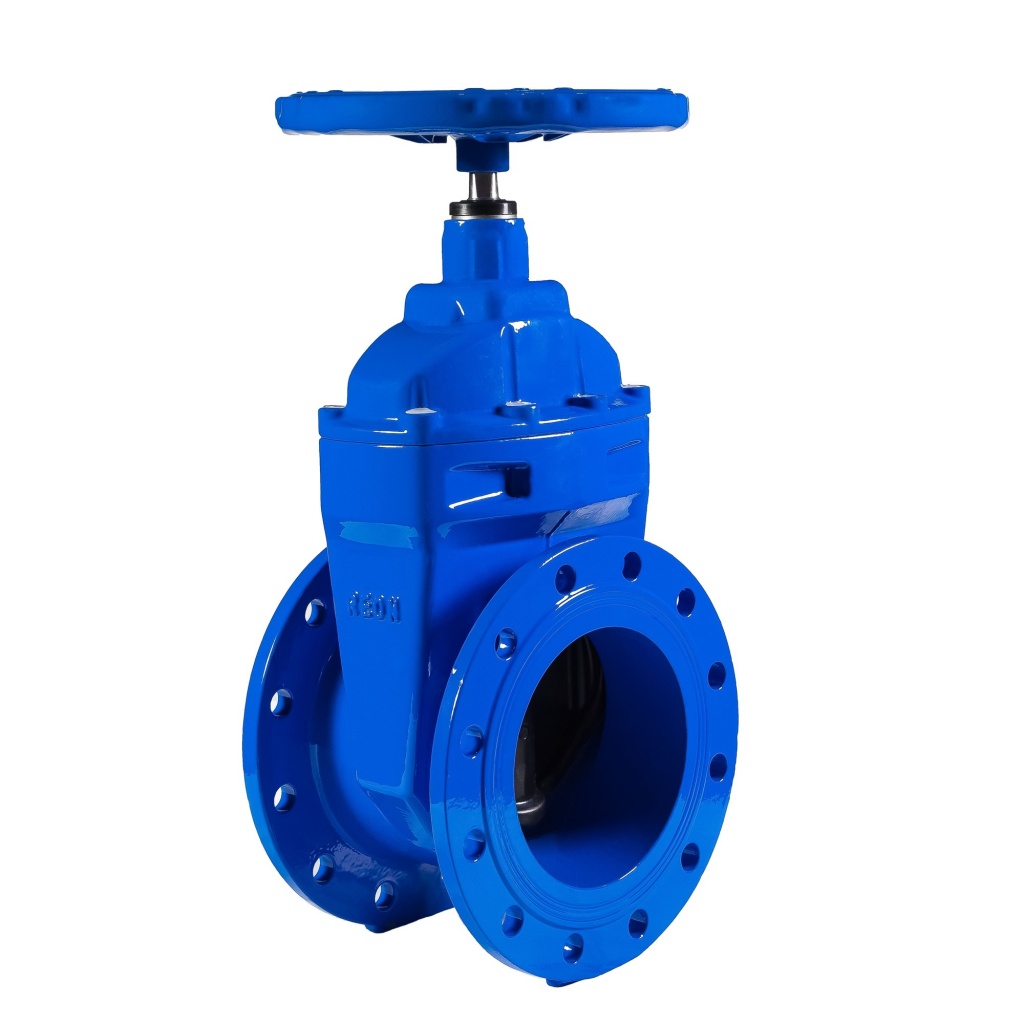 Фото Задвижка чугунная с обрезиненным клином REON тип RSV03 DN 250 PN10, артикул 250RSV03